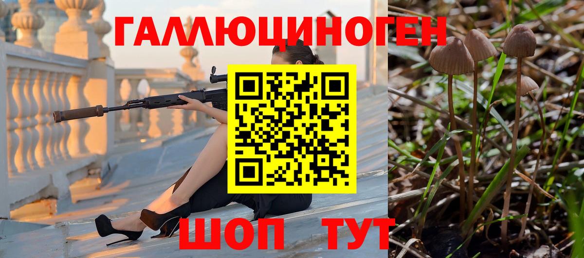 Псилоцибиновые грибы прущие грибы Людиново